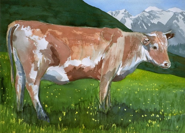 'Kuhblumenmeer'  Aquarell 35x48cm  Till Strassen 2014
