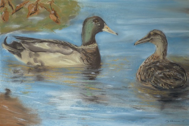 'Im Ententeich'  Pastell 39x59cm  Till Strassen 2015