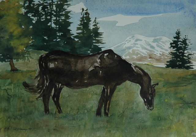 'Auf der Wiese' (Oberengadin)  Aquarell 15x21cm  Till Strassen 2015