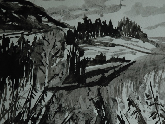 'Kleiner Sumpf' (Toggenburg)  Tusche 28x38cm  Till Strassen 2015